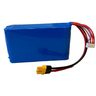 Акумулятор 6S2P 8400 mah LiIon Molicel 21700 Li-ion Довгий кабель 15 см роз'єм ХТ60 Молисел батарея li ion Bounce ar. 84DK 6s2p-li-ion-84DK фото