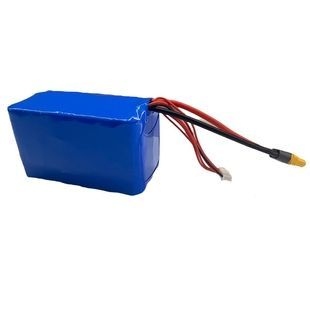 Акумулятор Li-ion 8s3p li ion 12600 mAh 130А 29.6V 8S 3P Molicel 21700 LiIon батарея Lion 8s3pli-ion фото